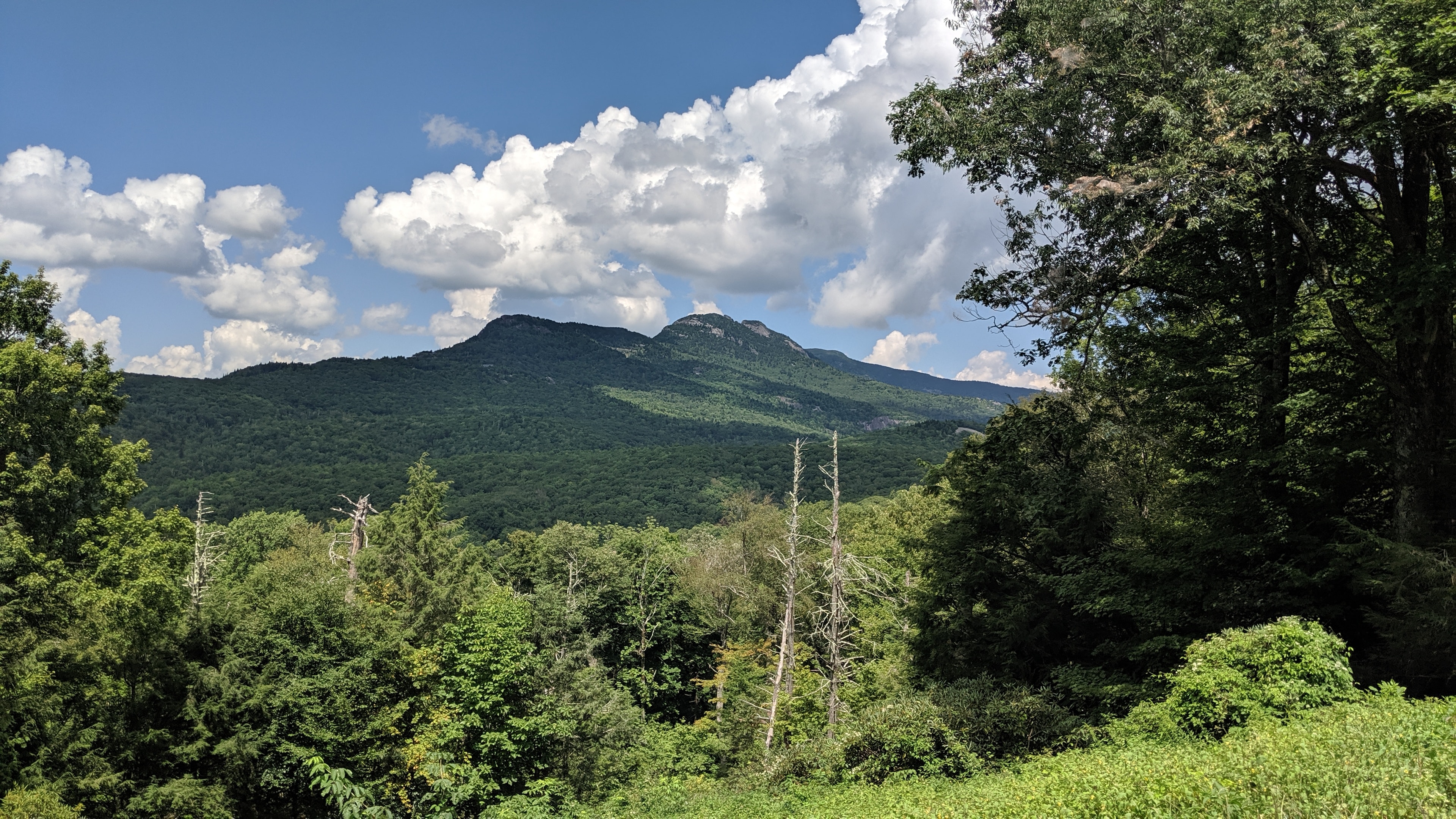 Forested mountain view near Boone, North Carolina