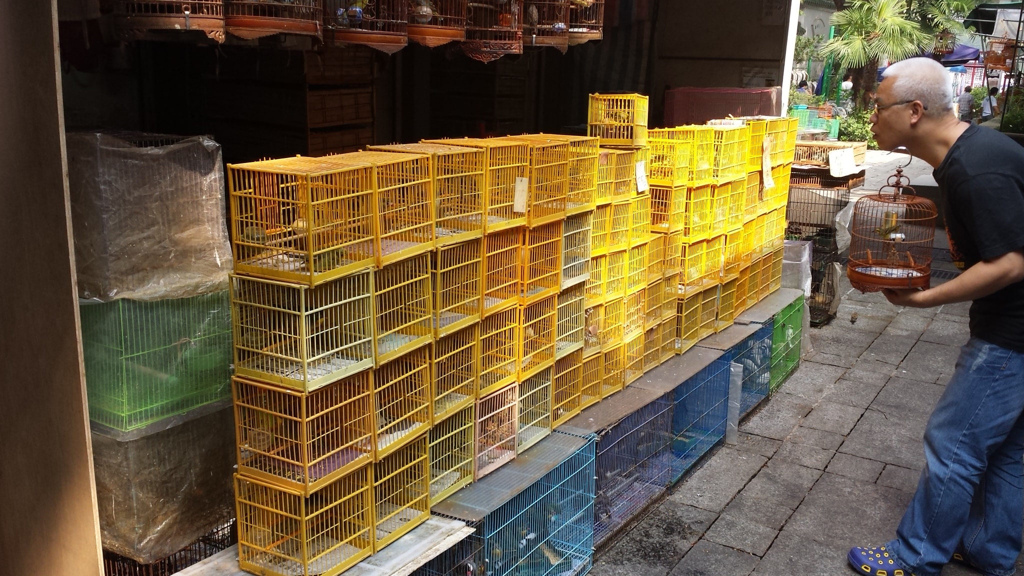 Stacks of yellow bird cages at the Yuen Po Street Bird Garden market in Hong Kong