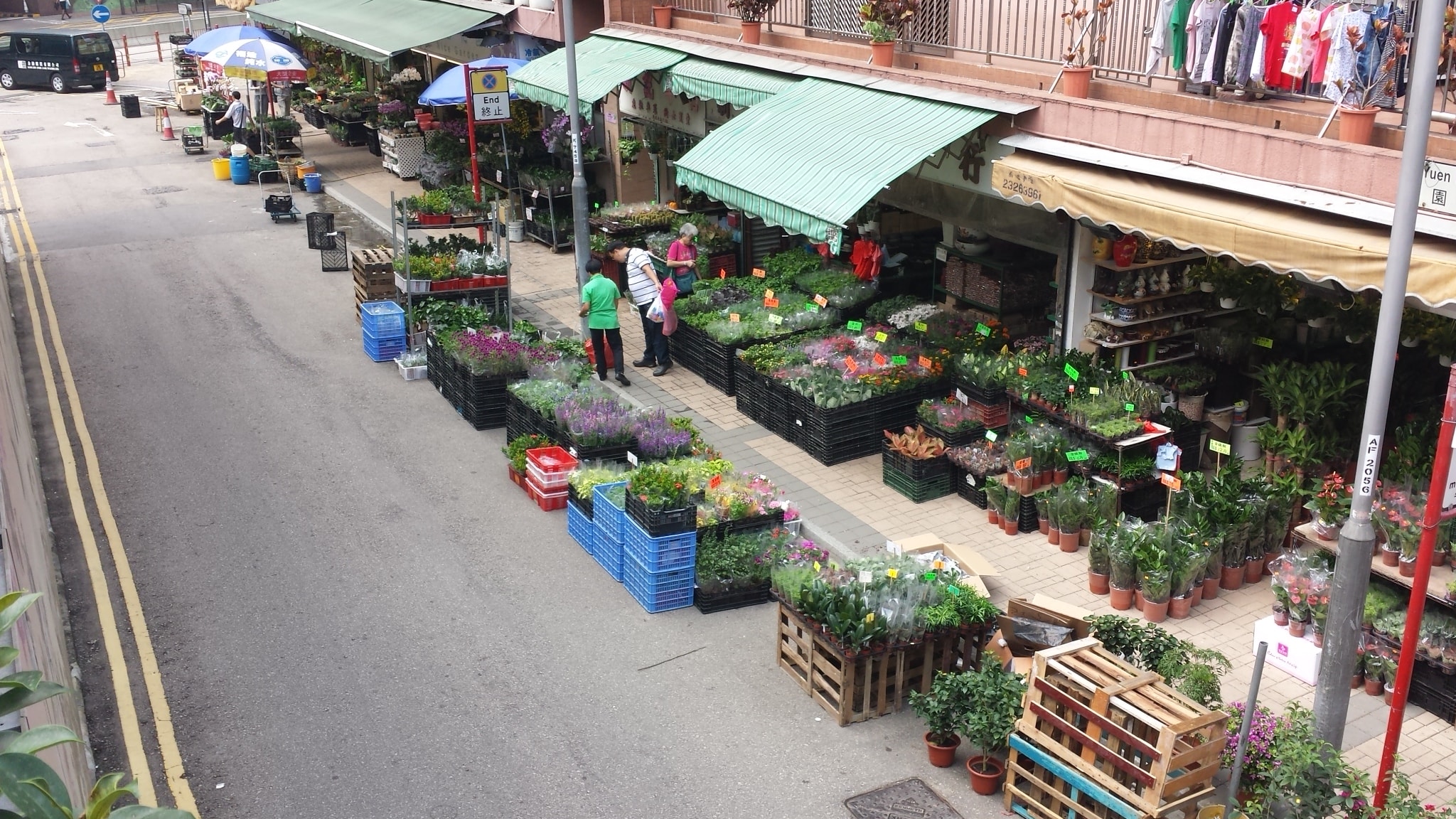 Aerial view of Flower Market Road in Mong Kok lined with plant and flower stalls
