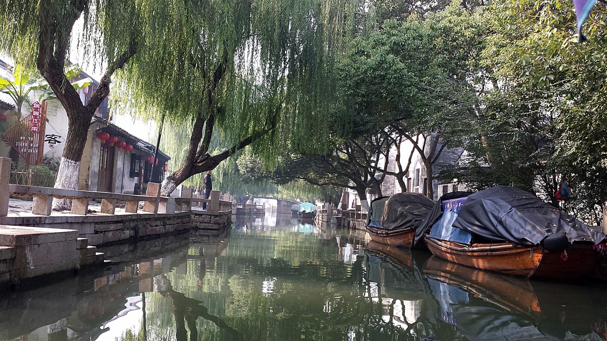 Willow-lined canal with boats in Zhouzhuang