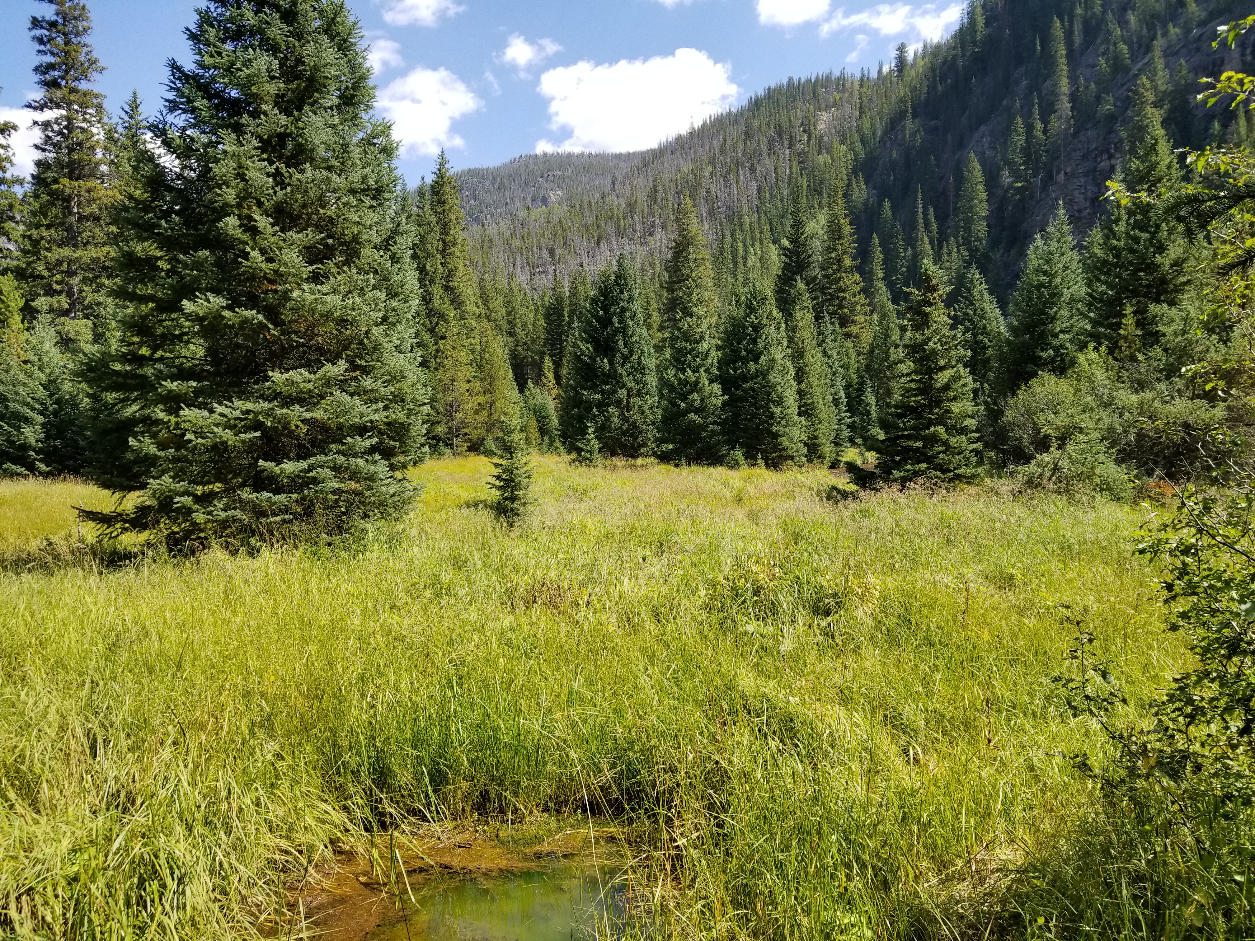 rocky Mountain National Park