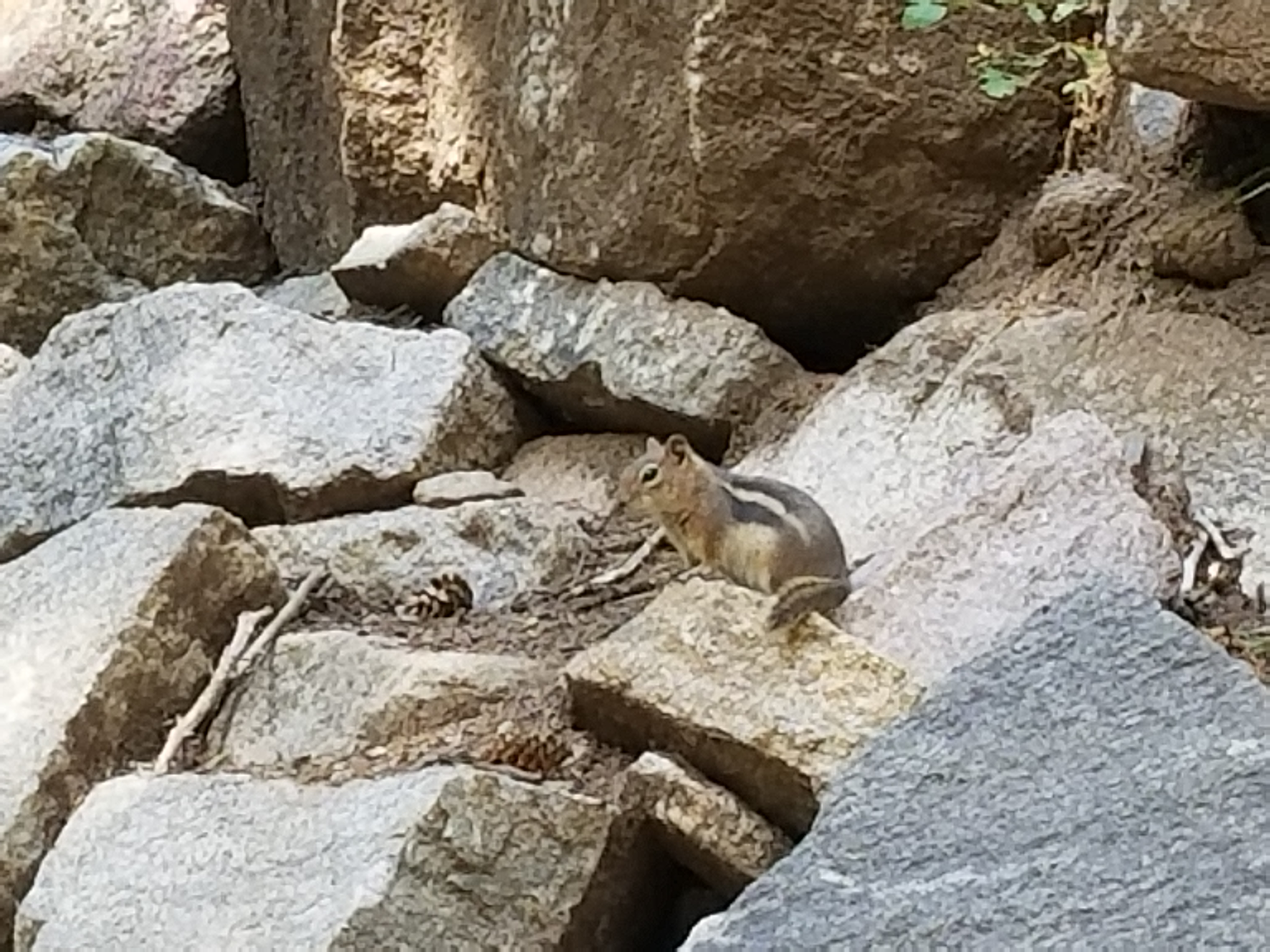 rocky Mountain National Park