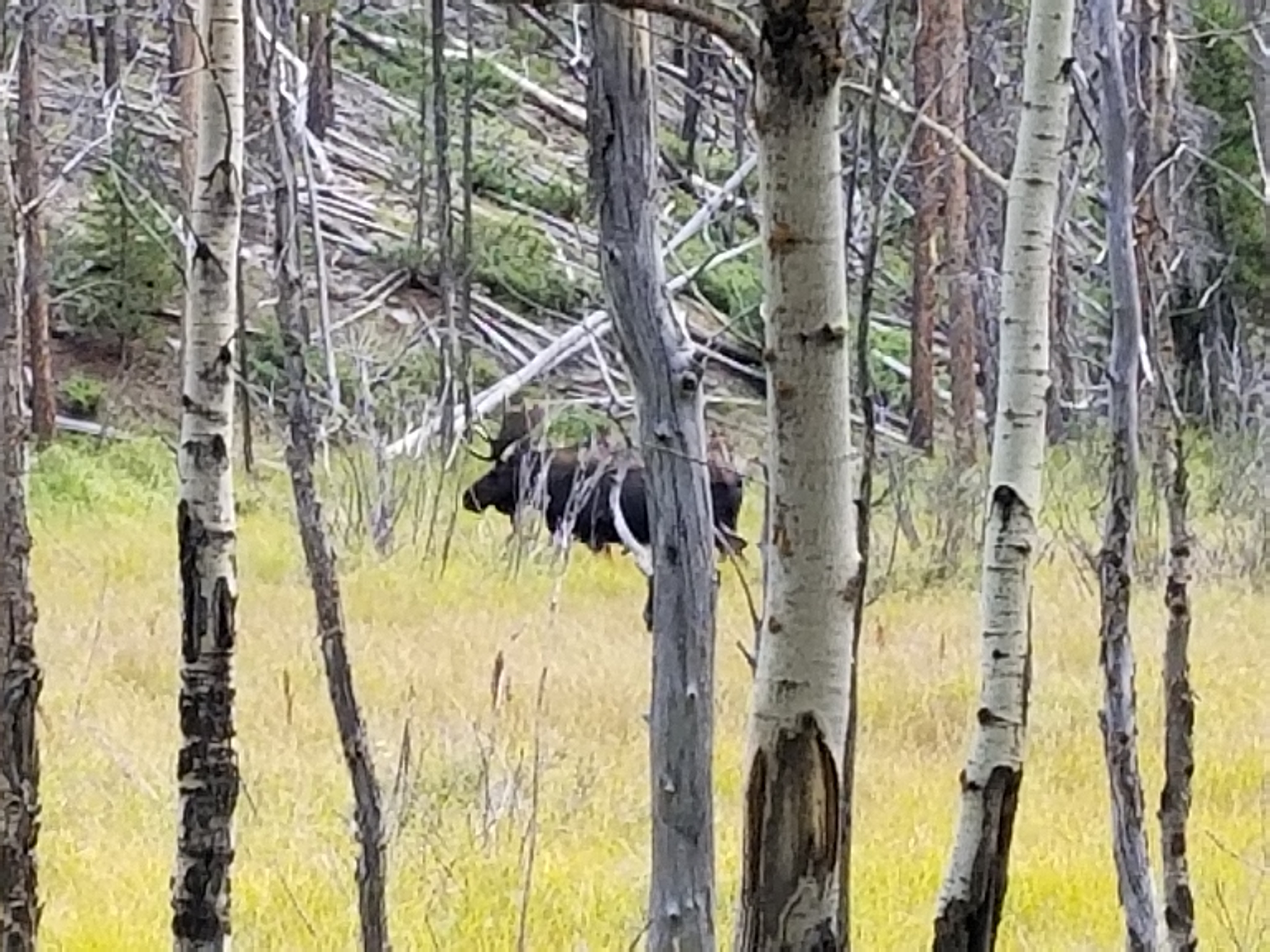 rocky Mountain National Park