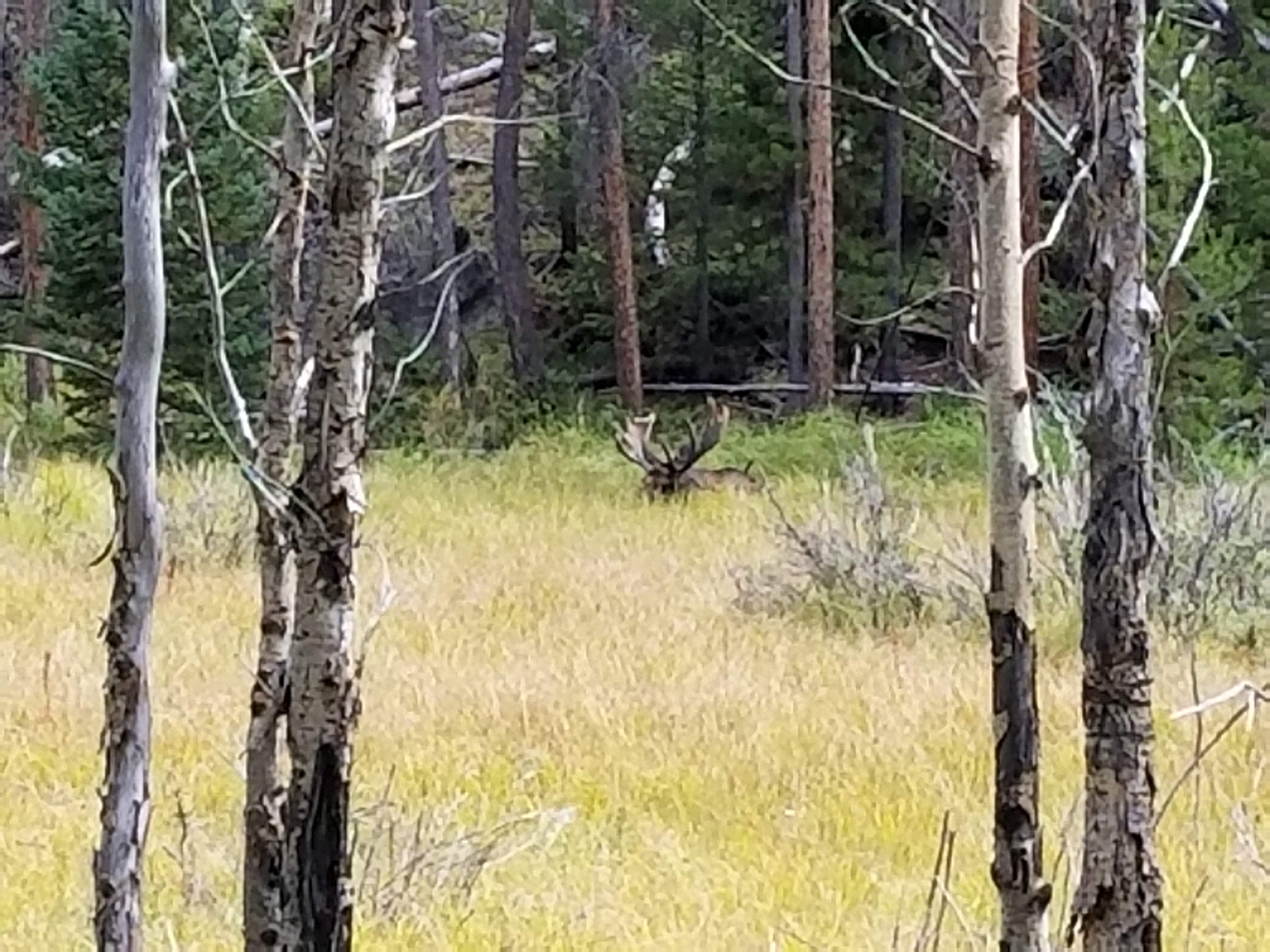 rocky Mountain National Park