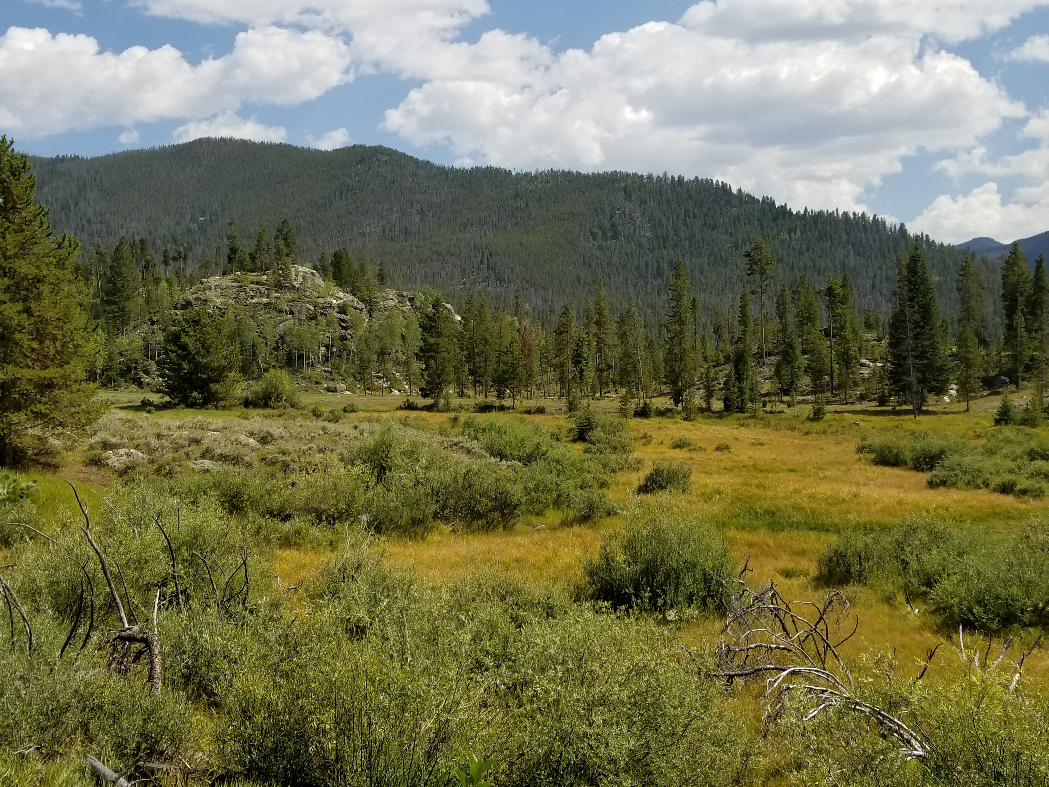 rocky Mountain National Park