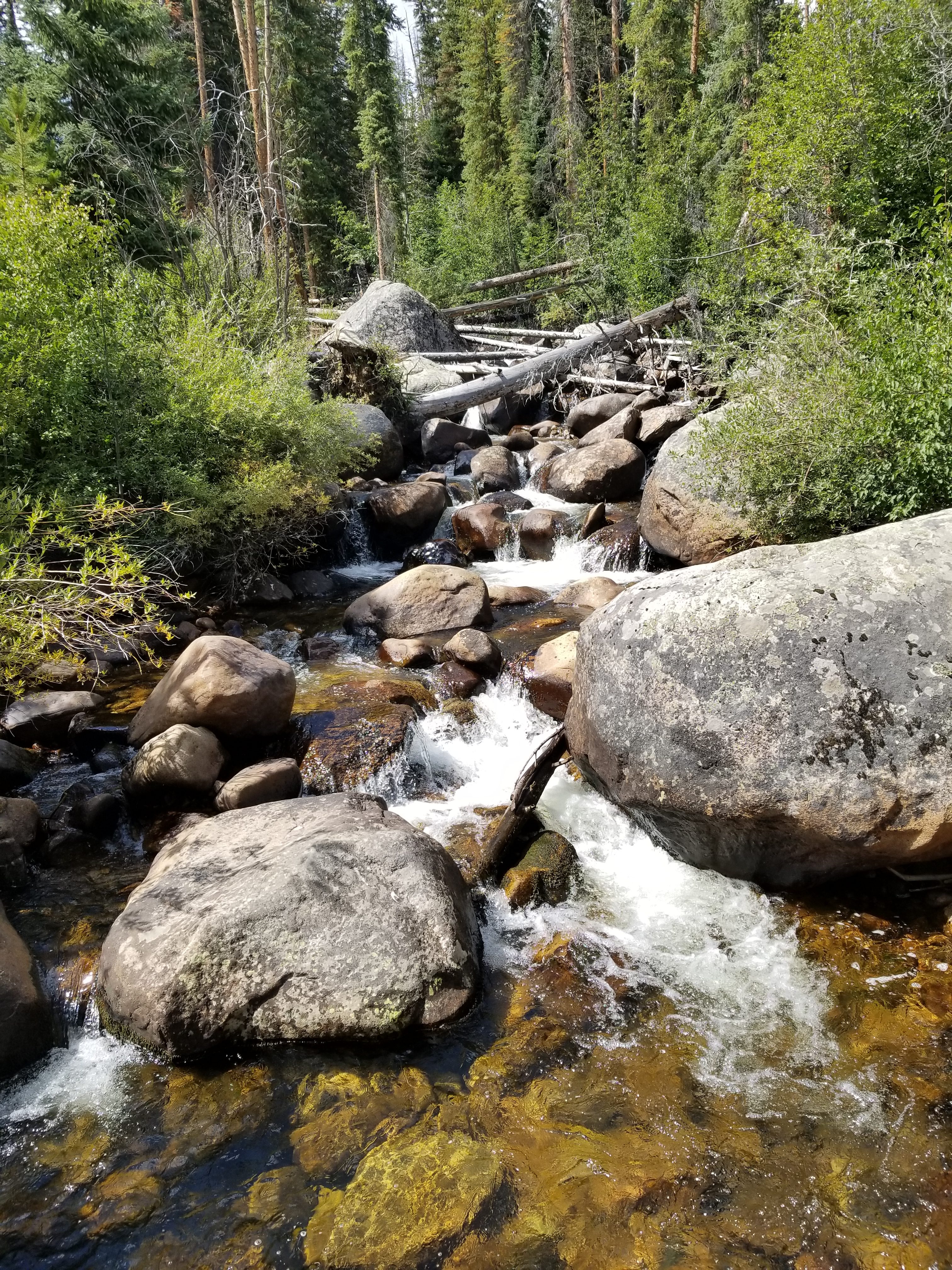 rocky Mountain National Park