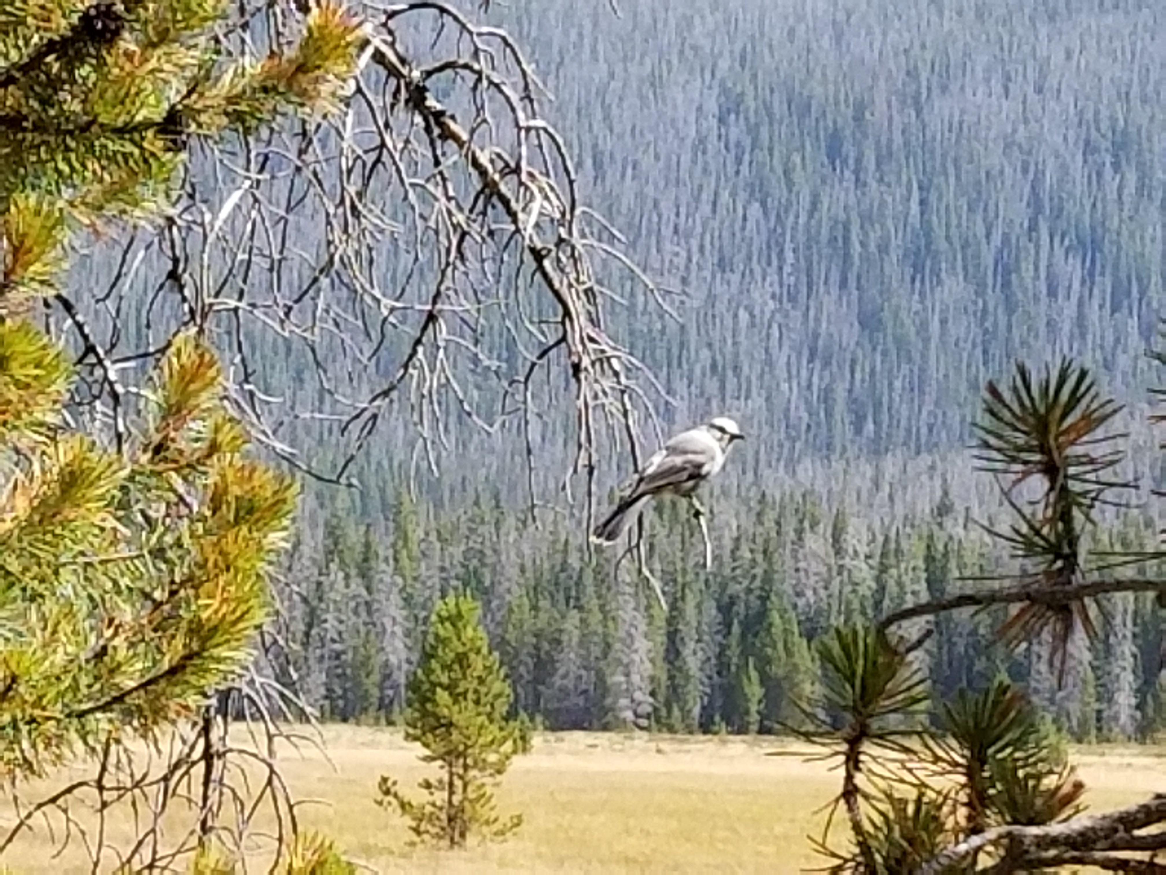 rocky Mountain National Park