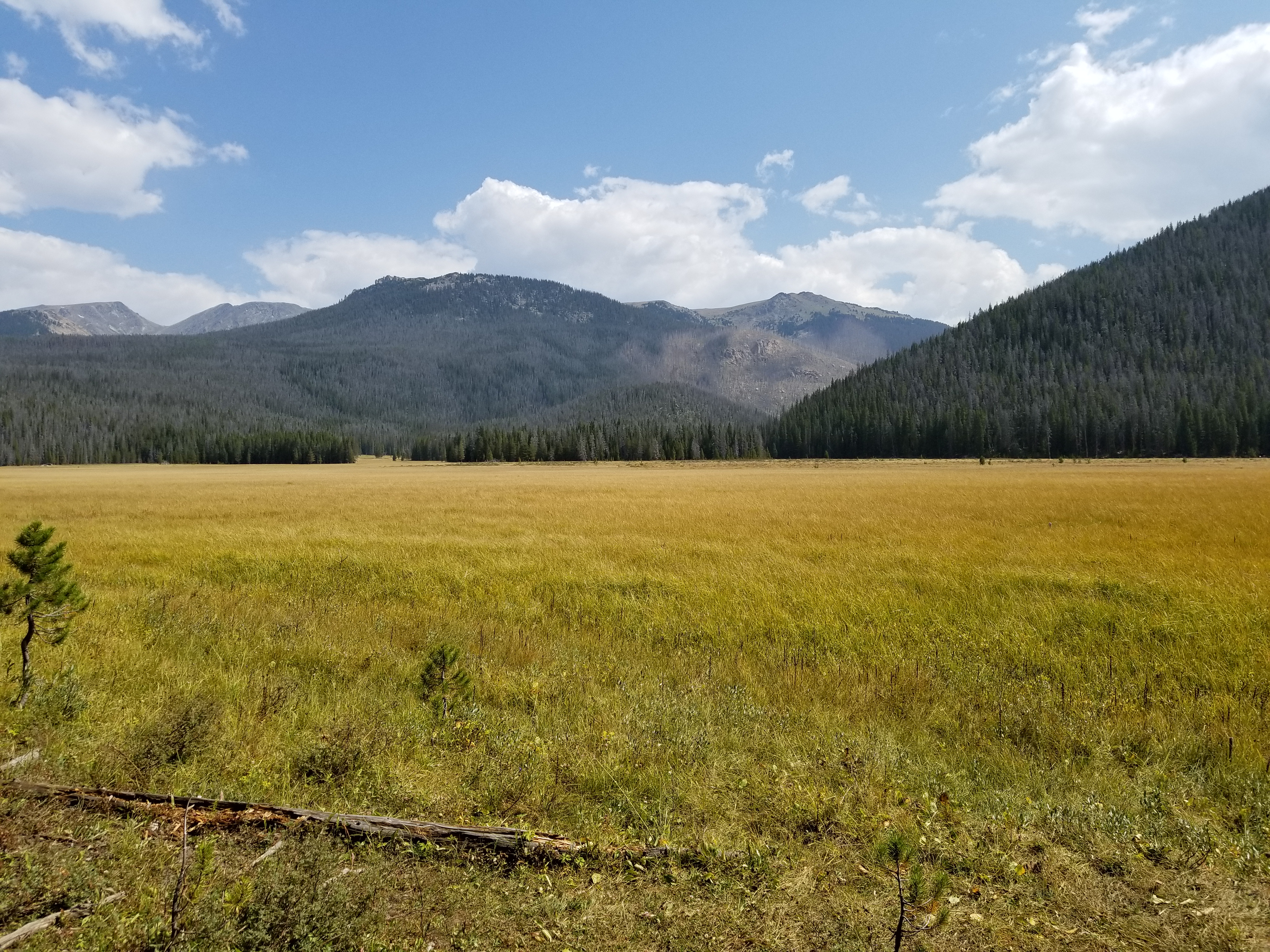 rocky Mountain National Park