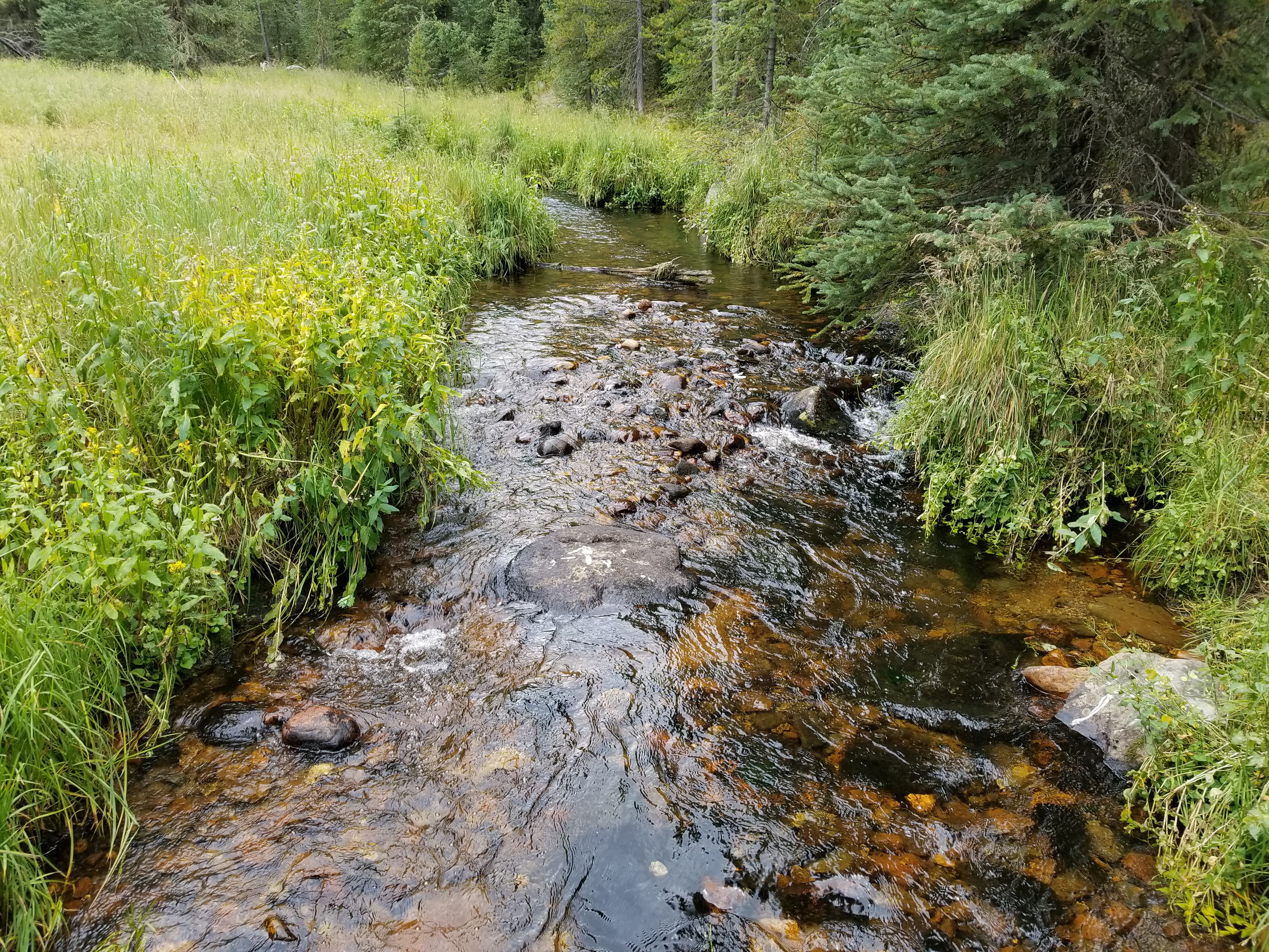 rocky Mountain National Park