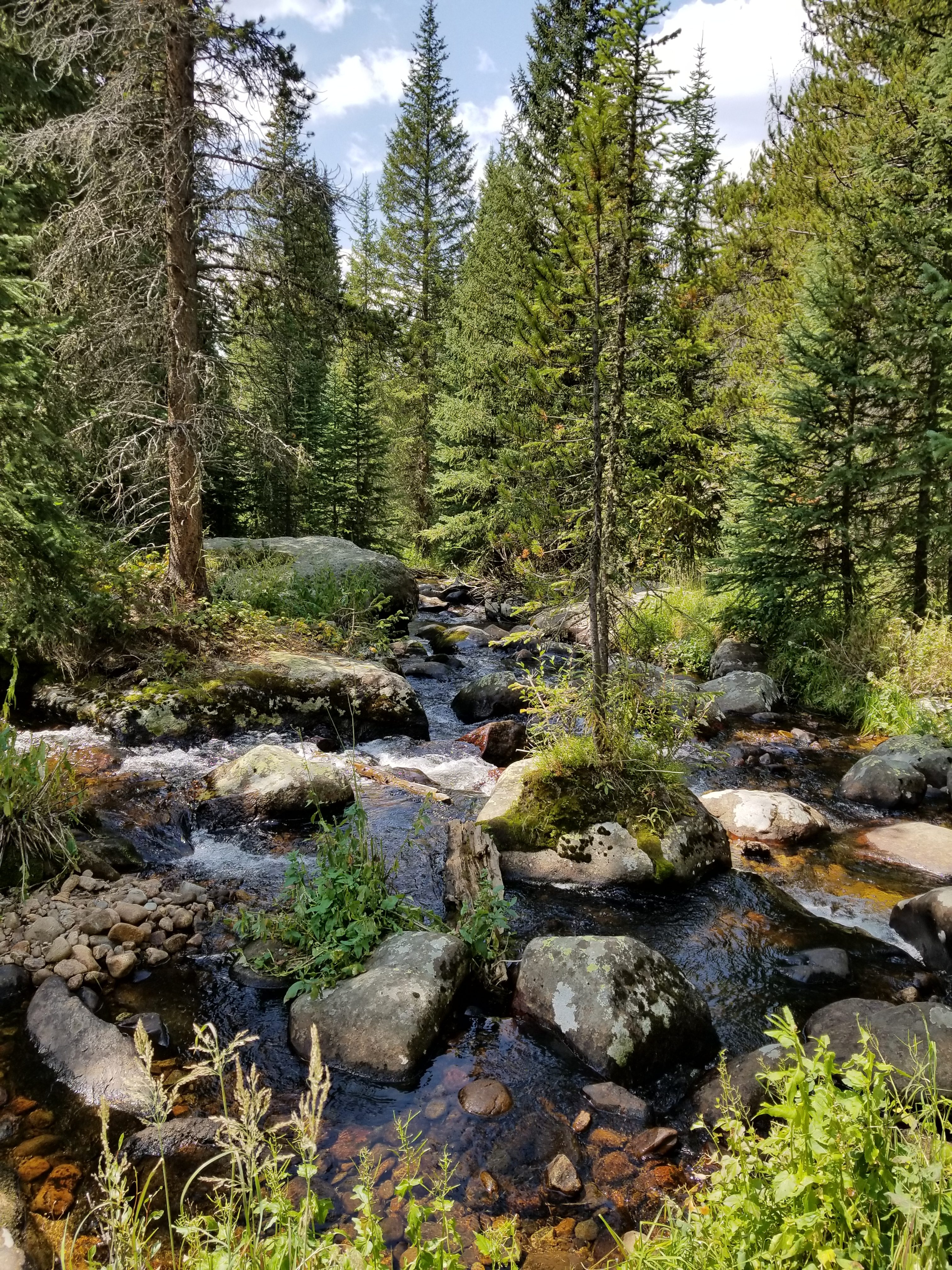 rocky Mountain National Park