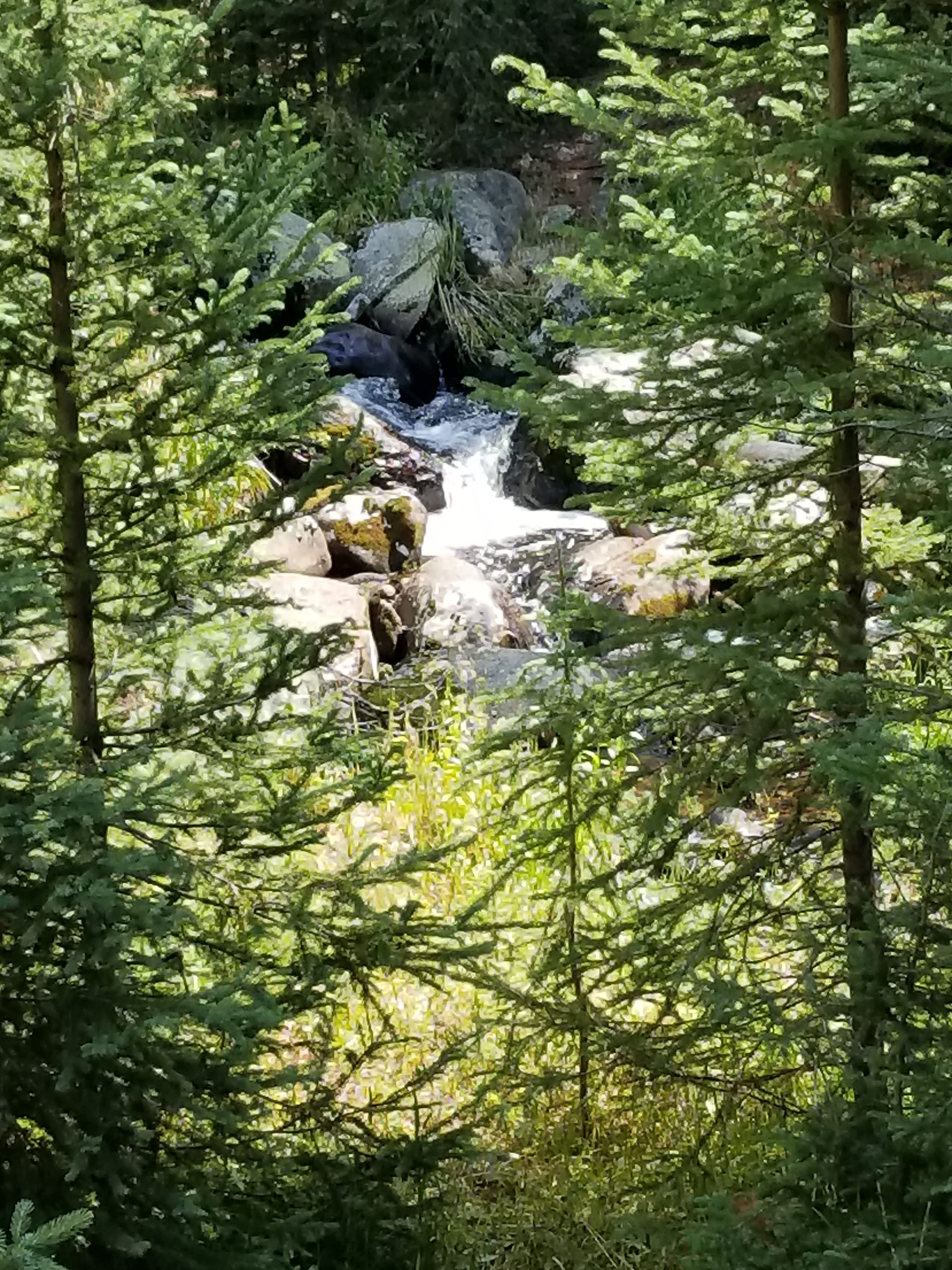 rocky Mountain National Park