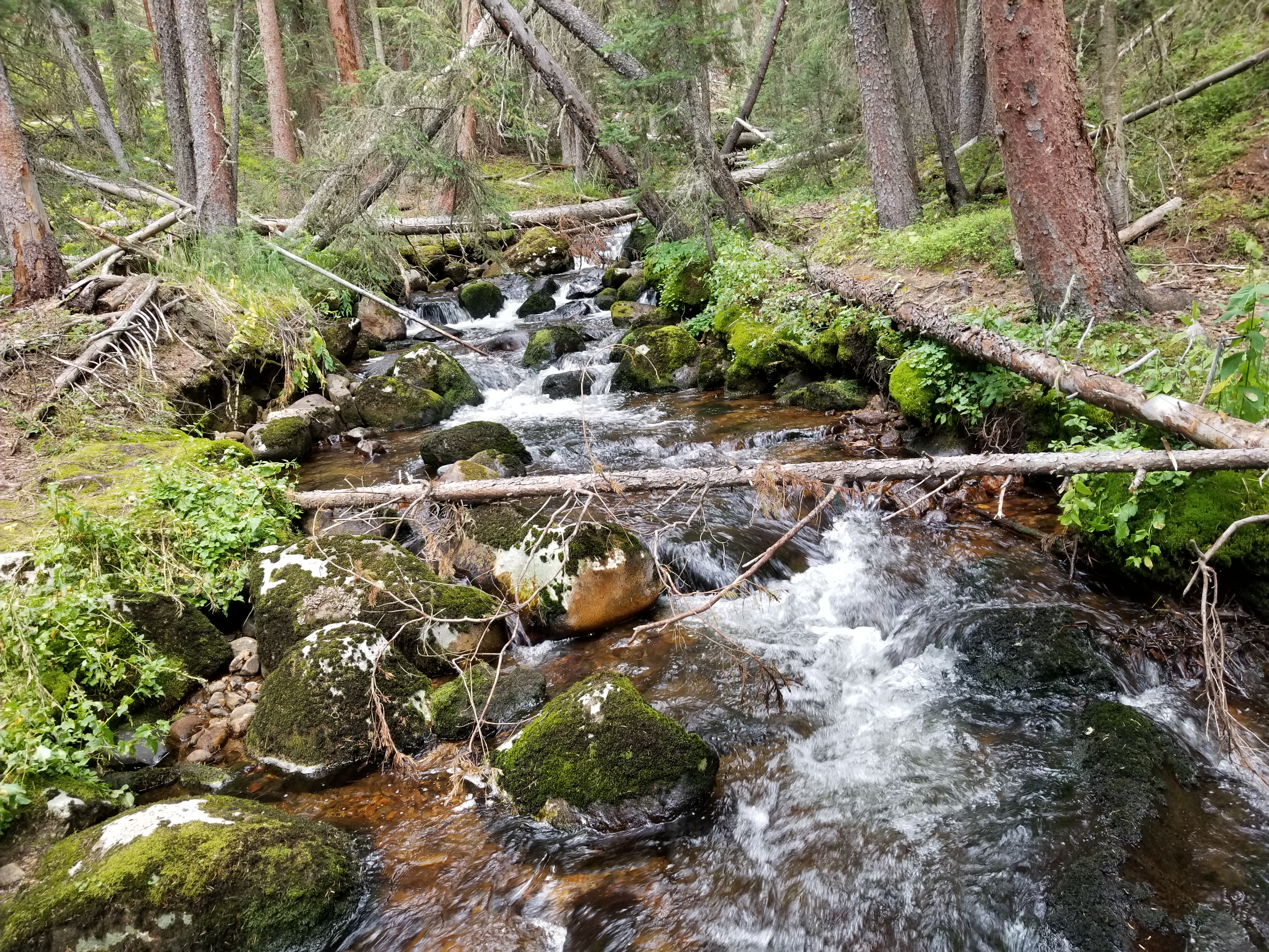 rocky Mountain National Park