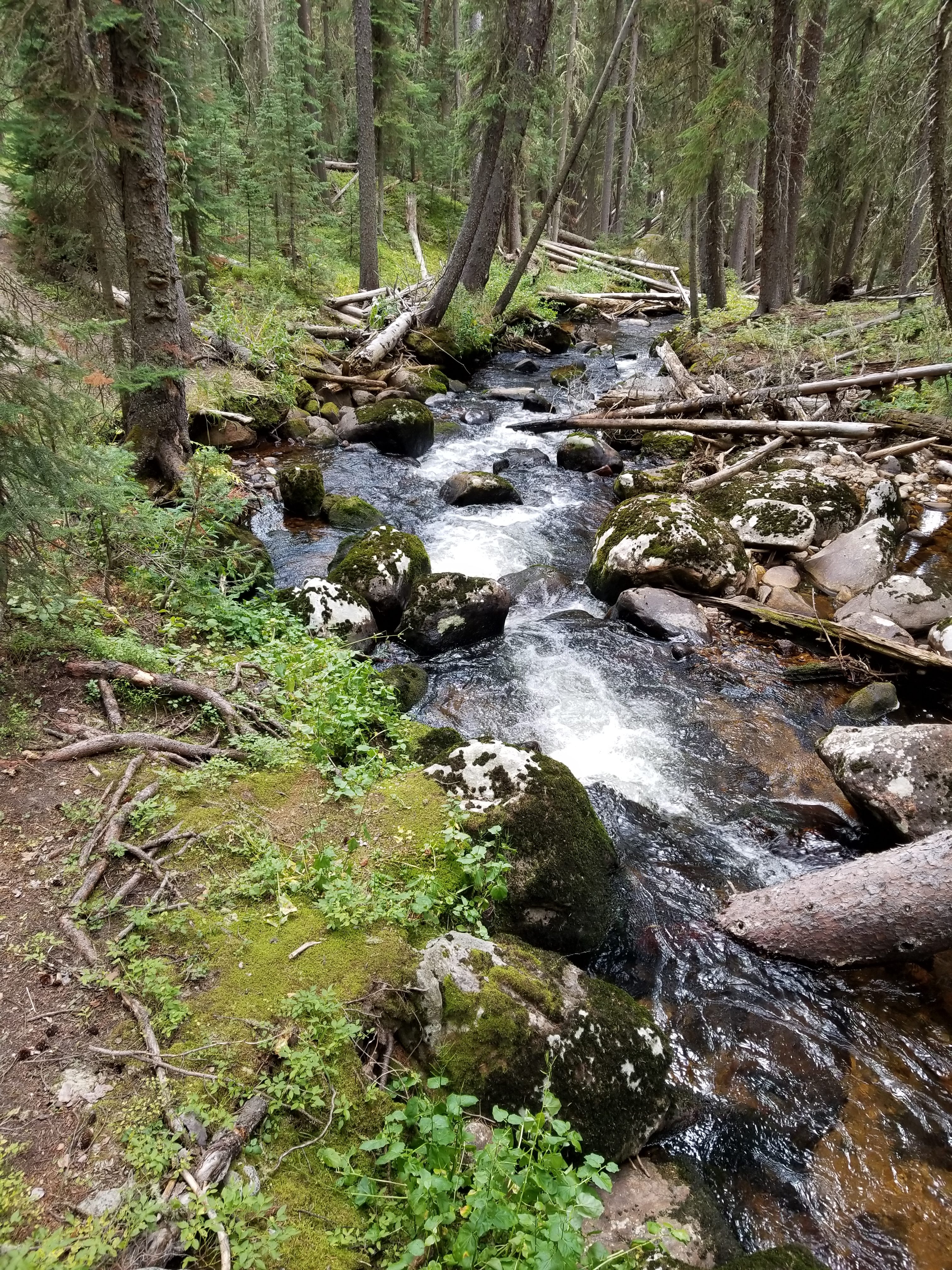 rocky Mountain National Park