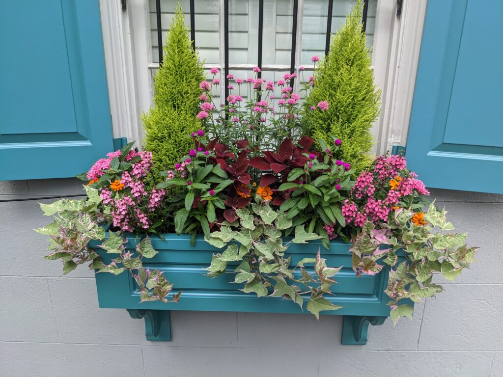 Lagare Street Flower boxes