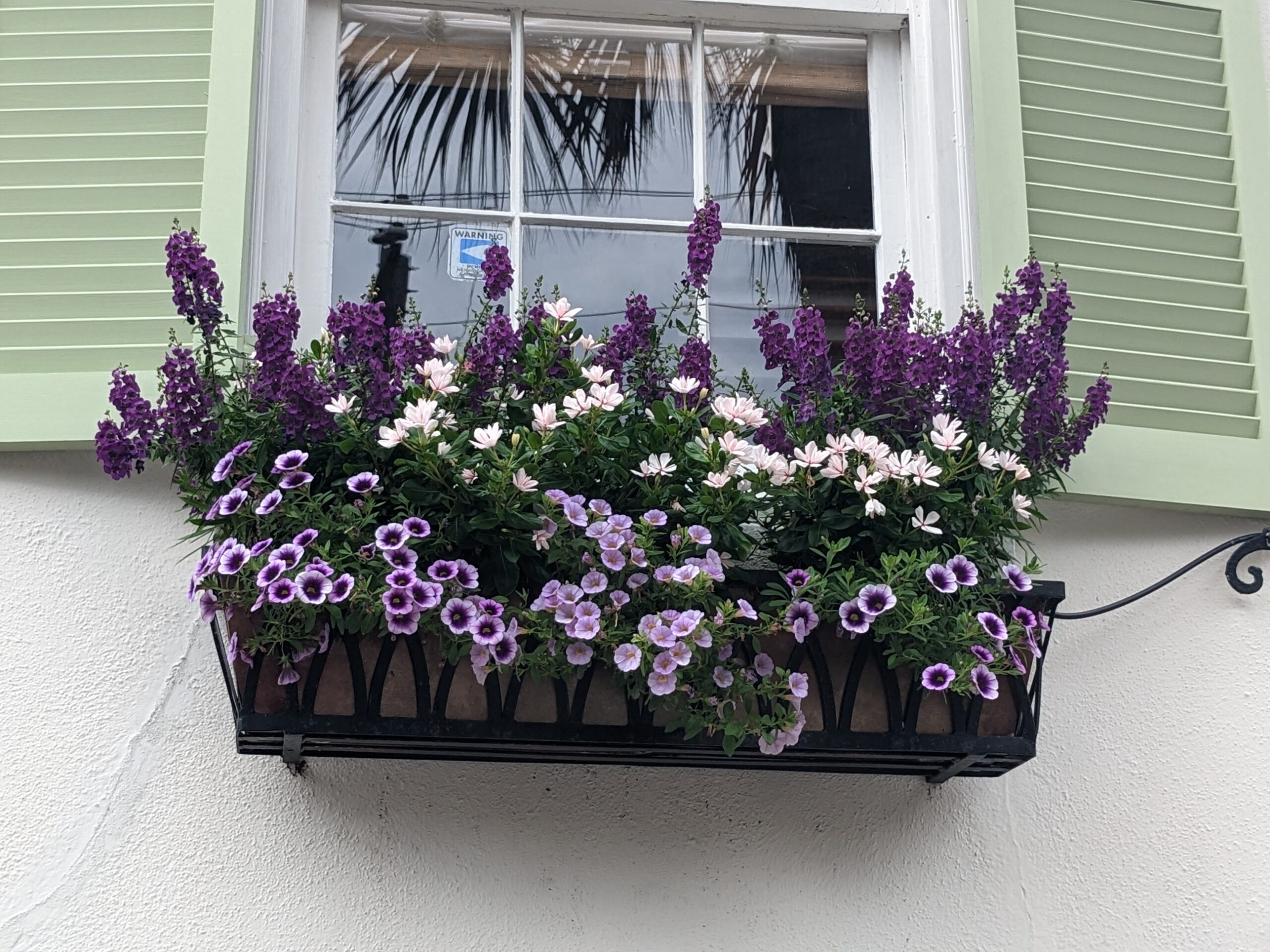 South Battery Street Flower Boxes